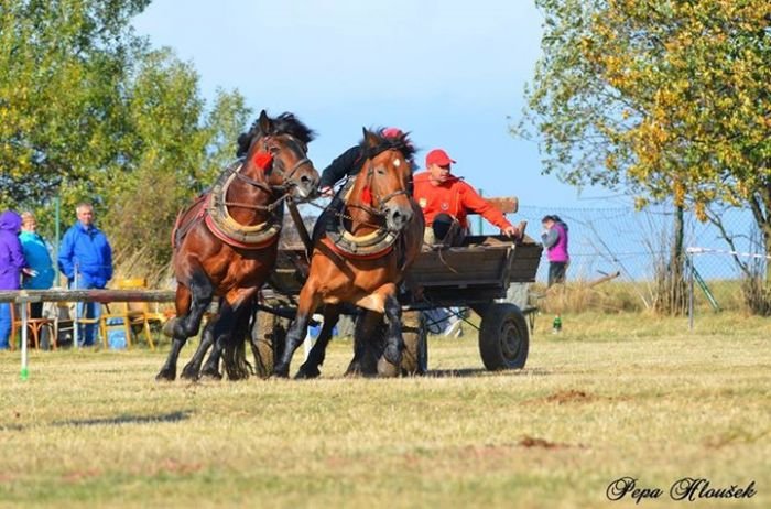 Jediný slovenský účastník Patrik Játy Jediný slovenský účastník Patrik Játy