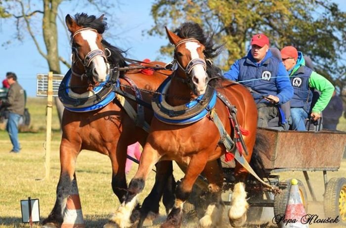 Marian Fizek - Lordo a Buntek Marian Fizek - Lordo a Buntek