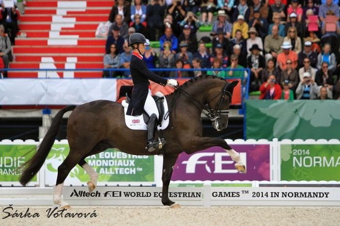 Valegro Valegro