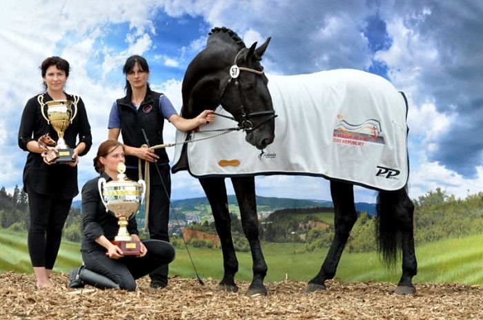 Vítězný tým ankety i Poháru odborníků 2015, starokladrubský kůň SOLO FAROLA XXX (Falco) a jeho tým