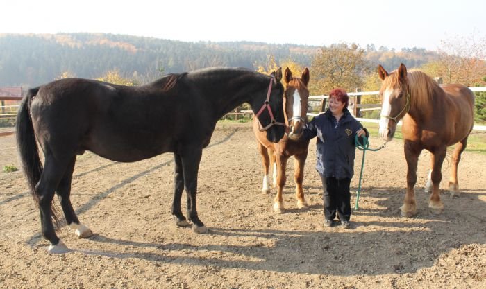 Já a moje další já Já a moje další já