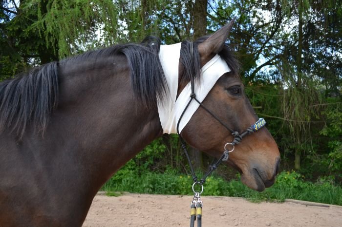 Wrap na hlavě Wrap na hlavě