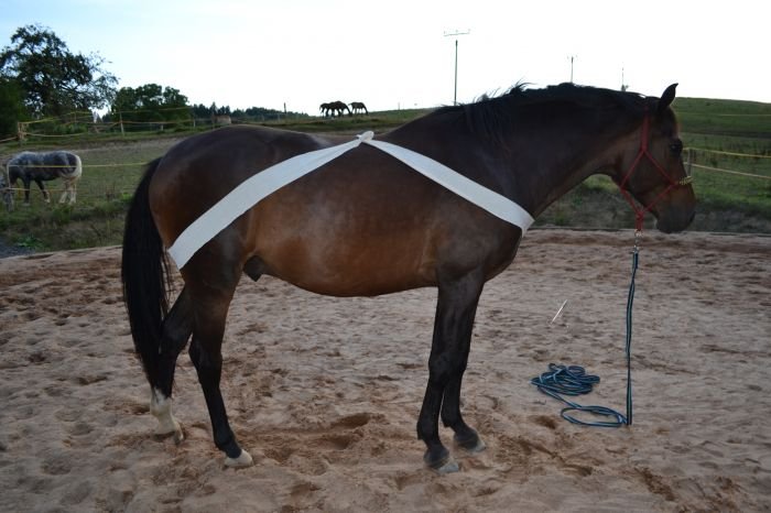 Bridge wrap Bridge wrap