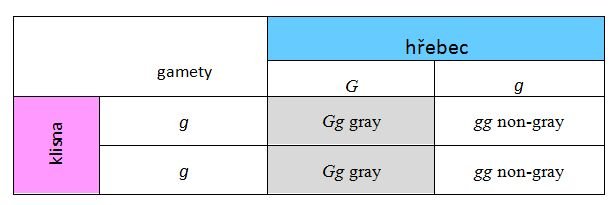 Mendelův čtverec Mendelův čtverec