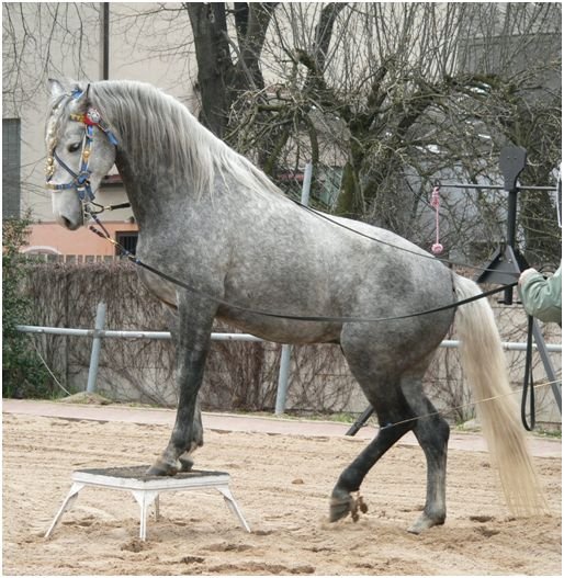 Počátek tvorby grošů Počátek tvorby grošů