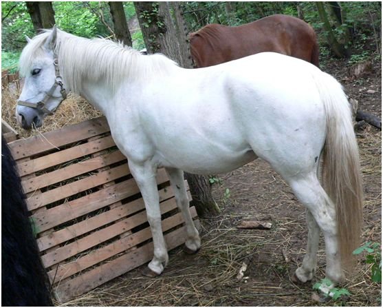 Kompletní vybělení Kompletní vybělení