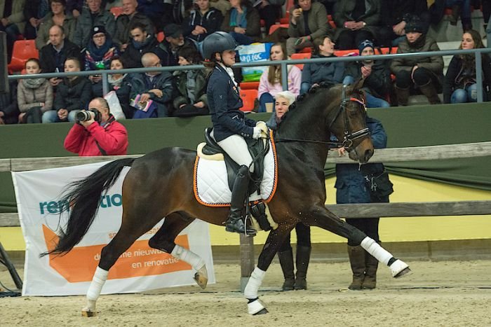 Orchard Red Prince Orchard Red Prince