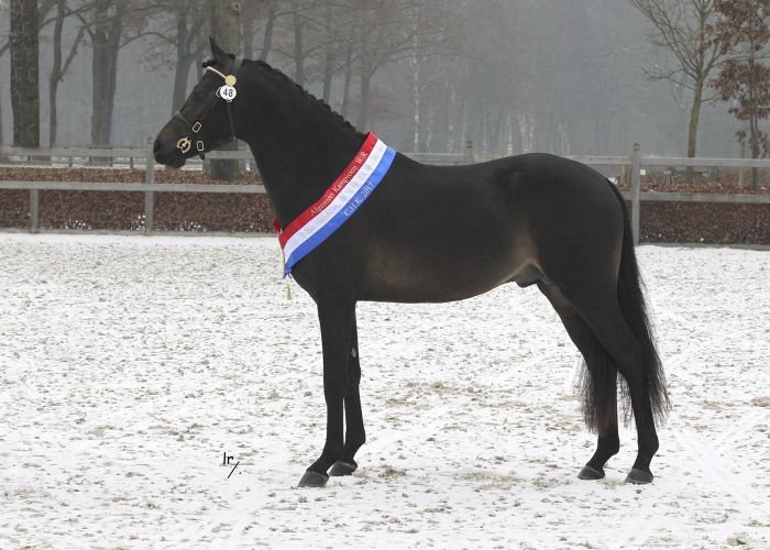 Coelenhage's Happy Hour Coelenhage's Happy Hour