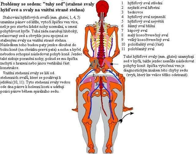 Špička ven, tuhá záda