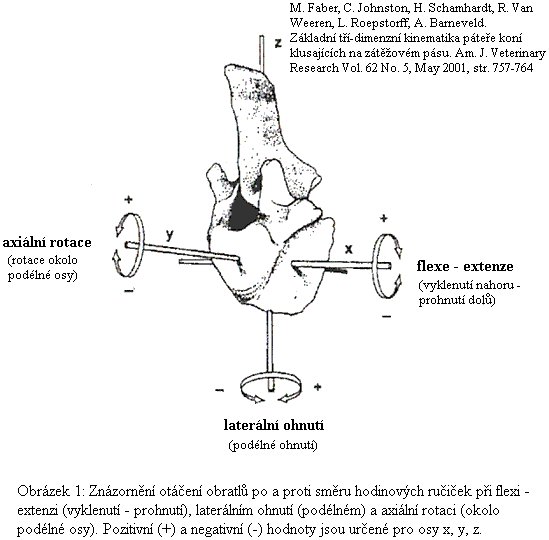 Základní třídimenziální kinematika páteře koní