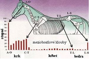 Meziobratlové klouby