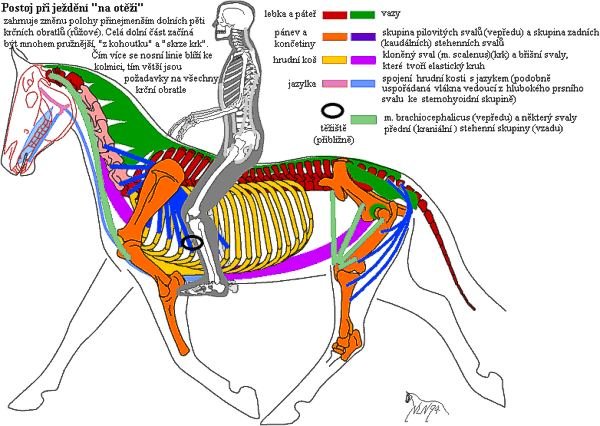 Postoj při ježdění 