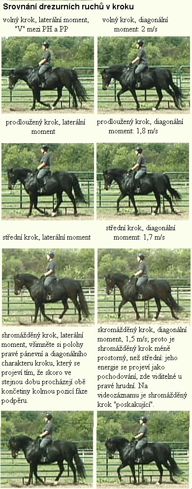 Srovnání drezúrních ruchů v kroku