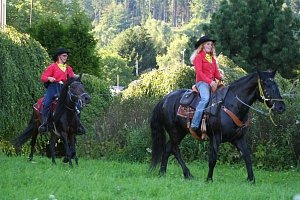 příjezd pošty z Kosovy Hory