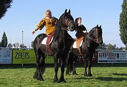 J. Vedralová a K. Fränkelová na fríských hřebcích Hermen a Balou