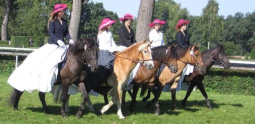 čtyři huculové a jeden hafling