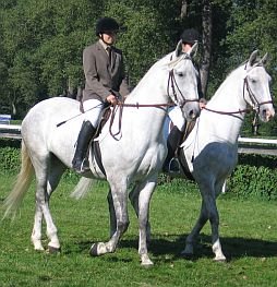 učnice SOUz Kladruby n. L. na bílých kladrubských klisnách