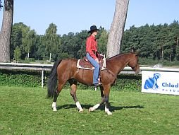 Petra Dvořáková a valach Sendy