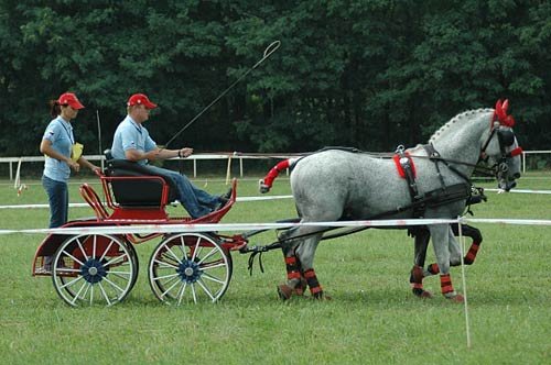 Marek Jirgala Marek Jirgala