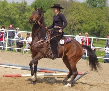 Rozkopnutá překážka