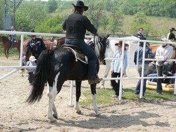 Ustupování s brankou