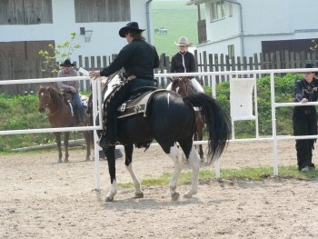 Ustoupení zádí na konci branky