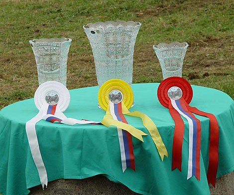 Poháry a floty pro vítěze.