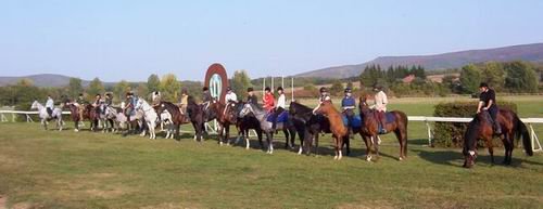 Nástup - všetky kone okrem Jubela, z ktorjého je úplne vpravo vidno len tieň