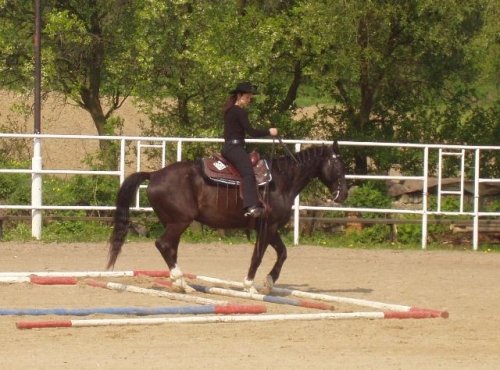 Ustupování v kombinované překážce