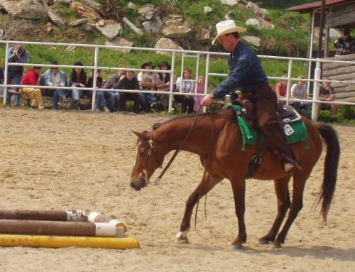Údiv koně, co že je to za divnou věc