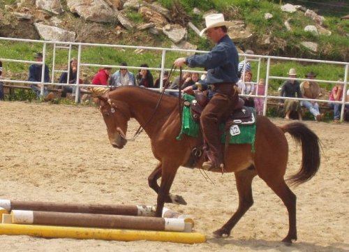 Ve vodě, byť s obavami