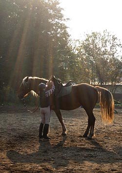 konečná odbila, jede se domů