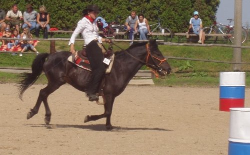 Nechtěné brždění koně