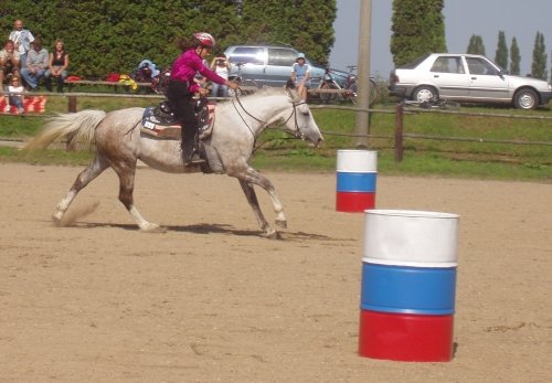 Dojezd do cíle v rychlosti