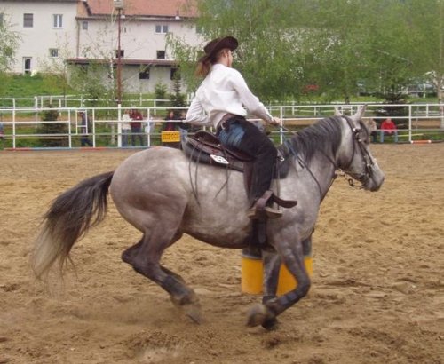 Obrat kolem barelu ve cvalu