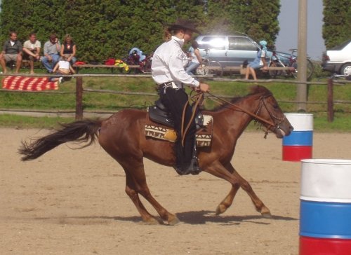 Předčasné brždění