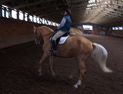 Jediná méně tmavá fotka demo-dvojice (nicméně rozostřená), na ní Renata Štaifová - Touha, která předváděla S0 a S2.