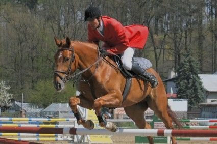 Holý Vít-Alllegra 1-102 e