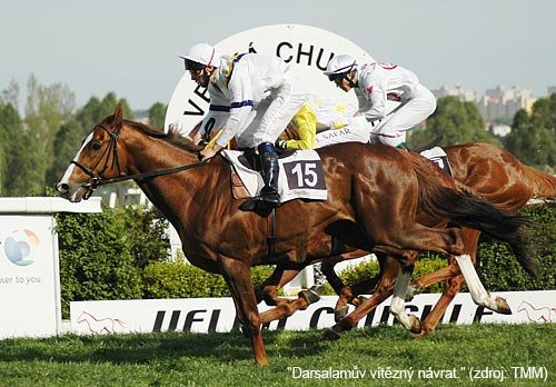 "Darsalamův vítězný návrat." (zdroj: TMM)