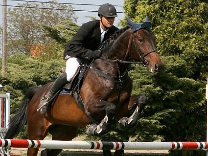 Lamich Karel - Condro