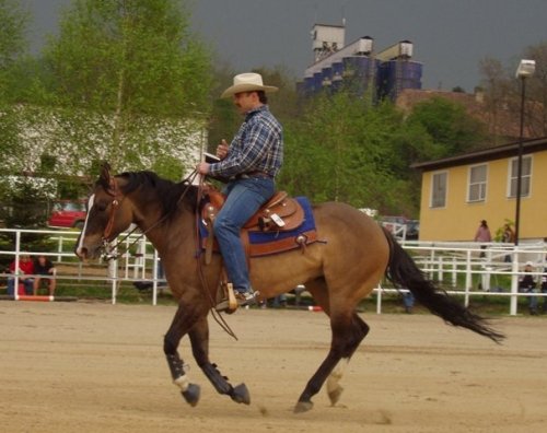 reining - cval na rovné čáře