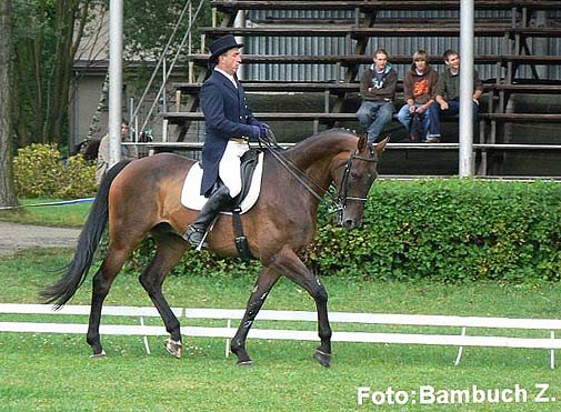 CCI** - Vrtek - Dallas CCI** - Vrtek - Dallas