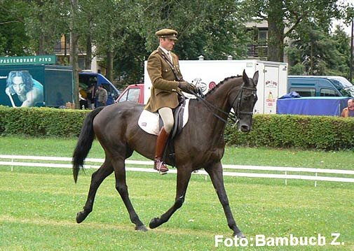 CCI** - Cpt. Adams Paul - Hollybrook Lawbreaker (GBR) CCI** - Cpt. Adams Paul - Hollybrook Lawbreaker (GBR)