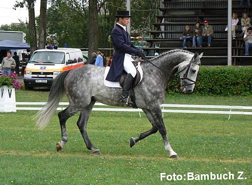 CCI** - Owczarek - Diabelek (POL) CCI** - Owczarek - Diabelek (POL)