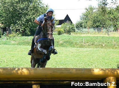 CCI** - Vrtek - Davos CCI** - Vrtek - Davos