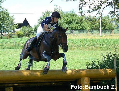 CCI** - Hatla - Karla CCI** - Hatla - Karla