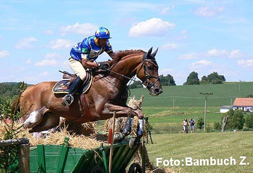 CCI** - Garcia Juan Carlos - Koopervik Corubert (ITA) CCI** - Garcia Juan Carlos - Koopervik Corubert (ITA)