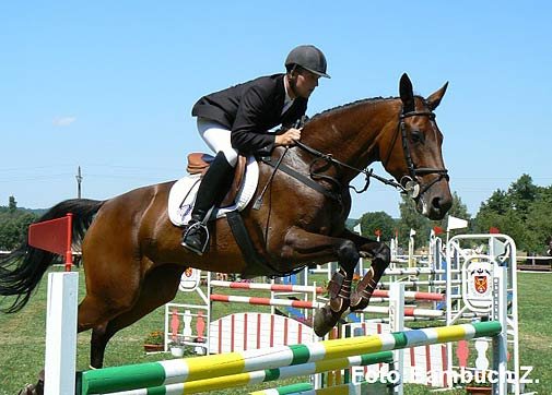 CCI** - Hatla - Karla CCI** - Hatla - Karla