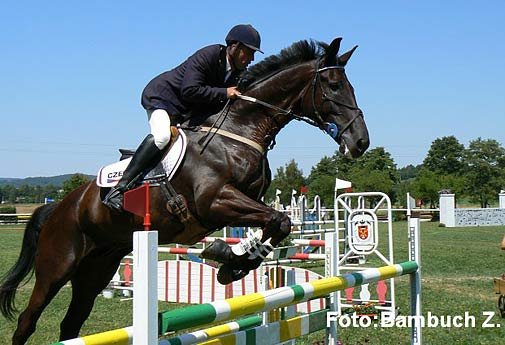 CCI** - Vrtek - Dallas CCI** - Vrtek - Dallas