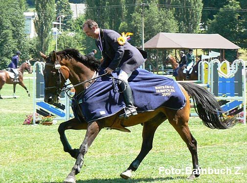 CCI** - Vrtek - Dallas - Mistr ČR - senioři CCI** - Vrtek - Dallas - Mistr ČR - senioři